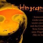 Sonnenräkeln Frühlingsanfang