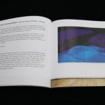 Der Katalog 2011
